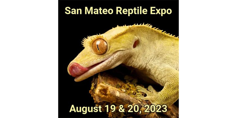 San mateo reptile expo August 19 & 20, 2023